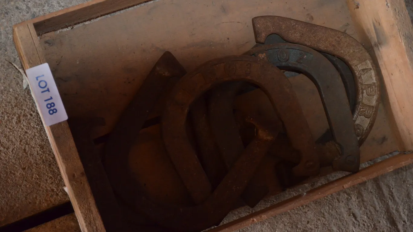 Box of Horse Shoes
