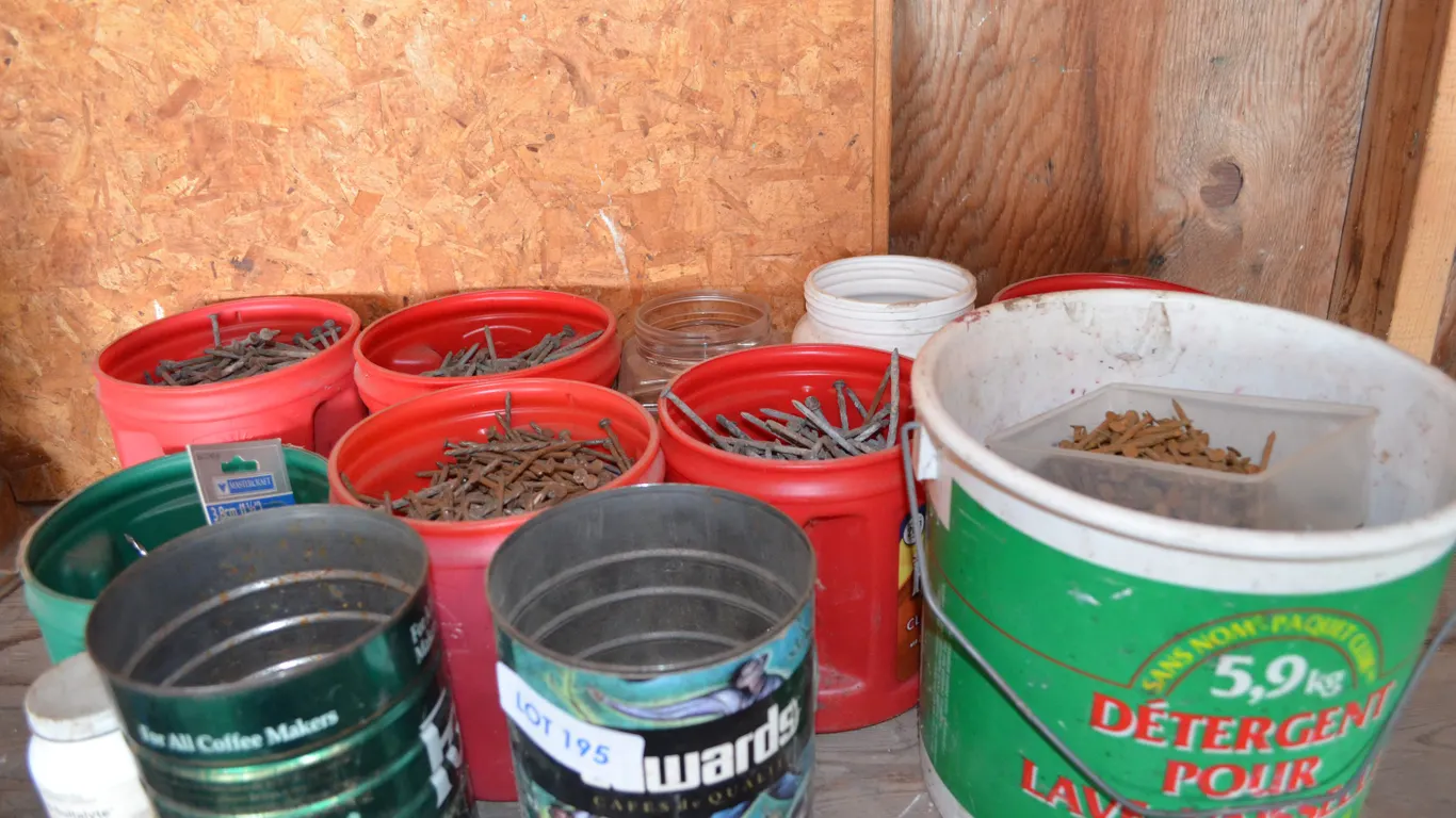Large Assortment of Nails and Screws