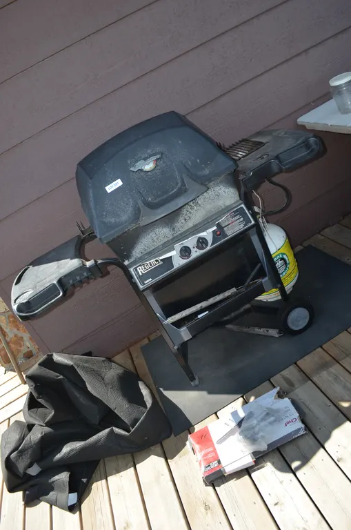 BBQ with new burner