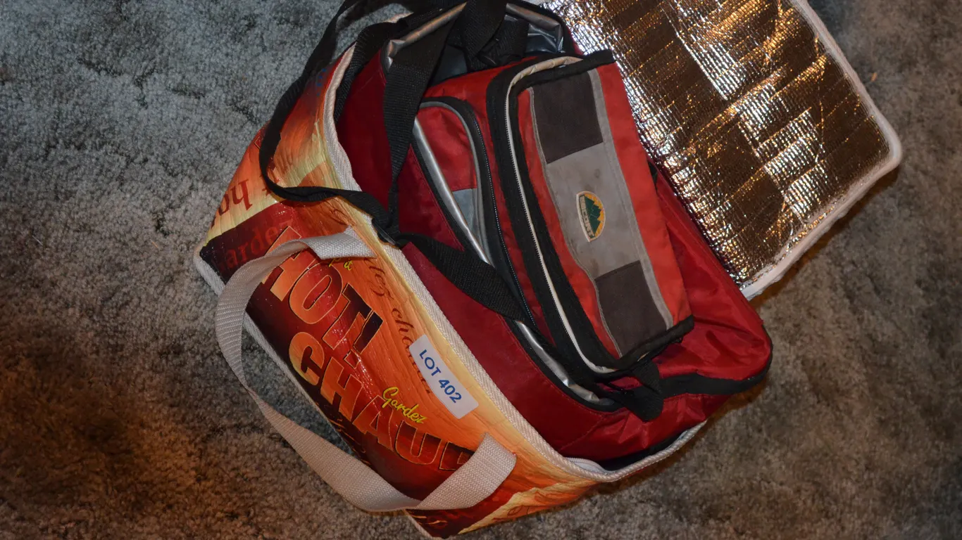 3 Cooler Bags