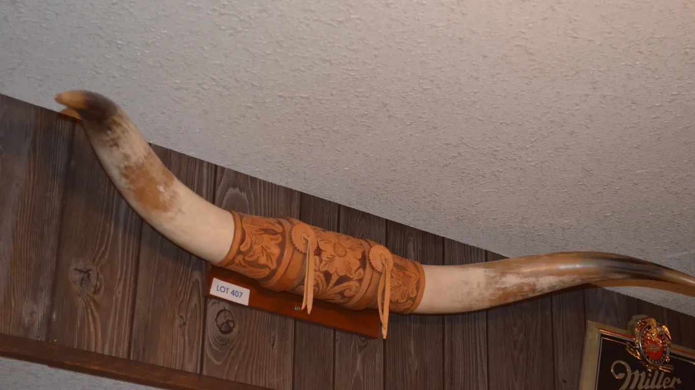 Bull Horns