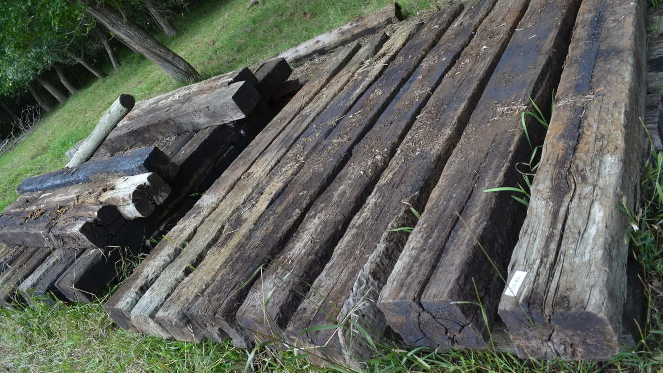 Railroad Ties, approx. 35 and 3 long Switch Ties