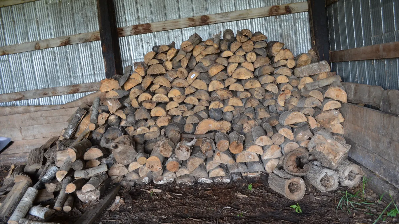 Large Wood Pile