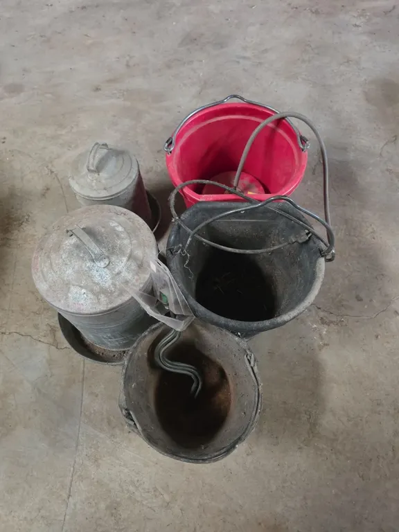 Feed buckets, chicken waterers and water tank heaters