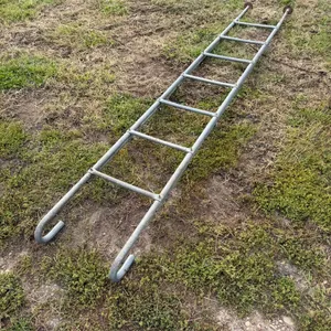 Hopper Bottom Bin Ladder
