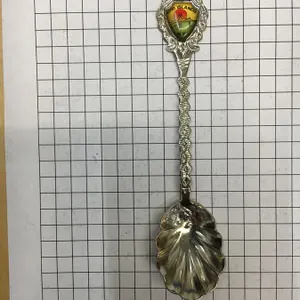 Vintage Souvenir Spoon