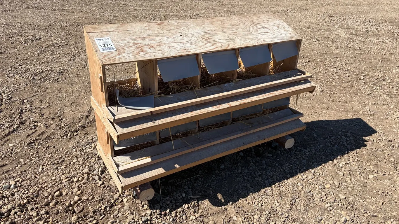 Custom Built Chicken Coop
