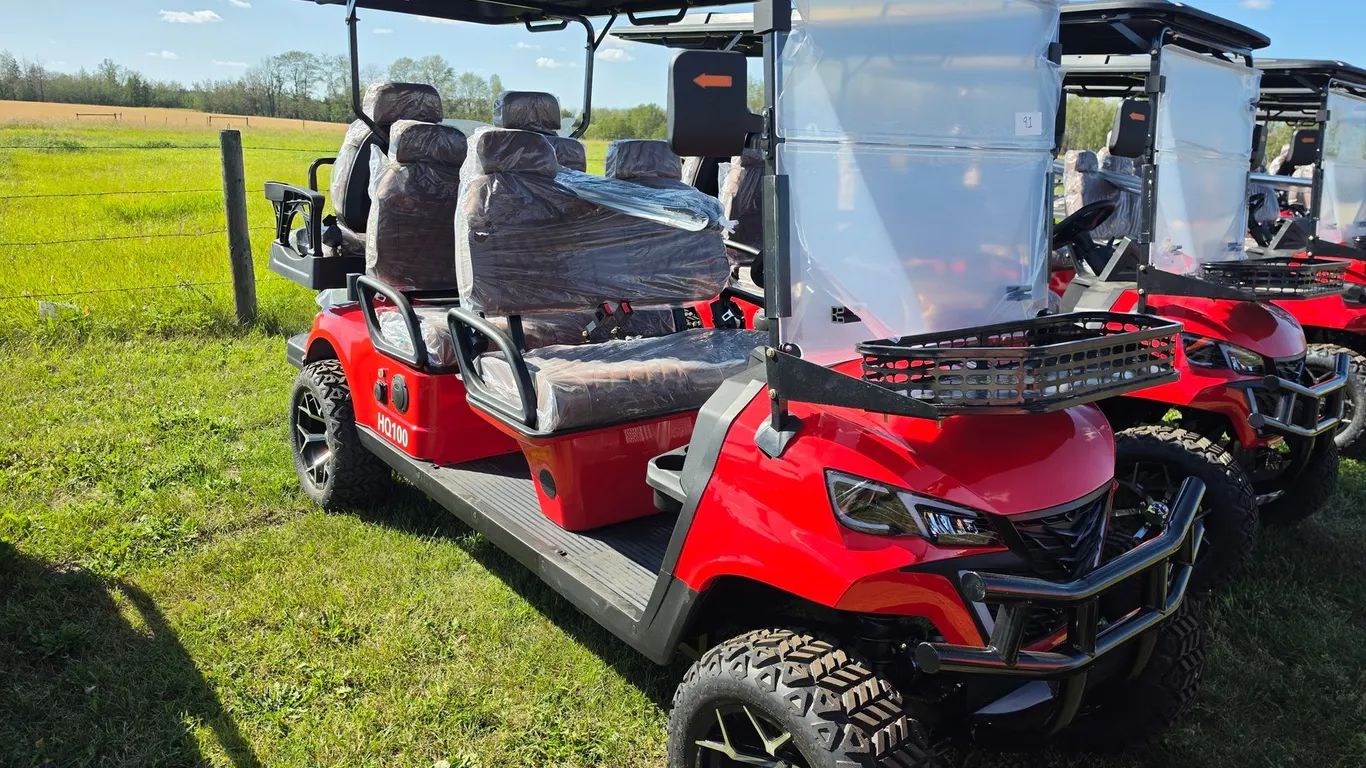 2026 GOLF CART SDLC100