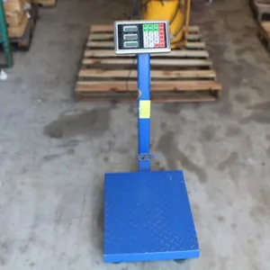 ICS System Electronic Scale