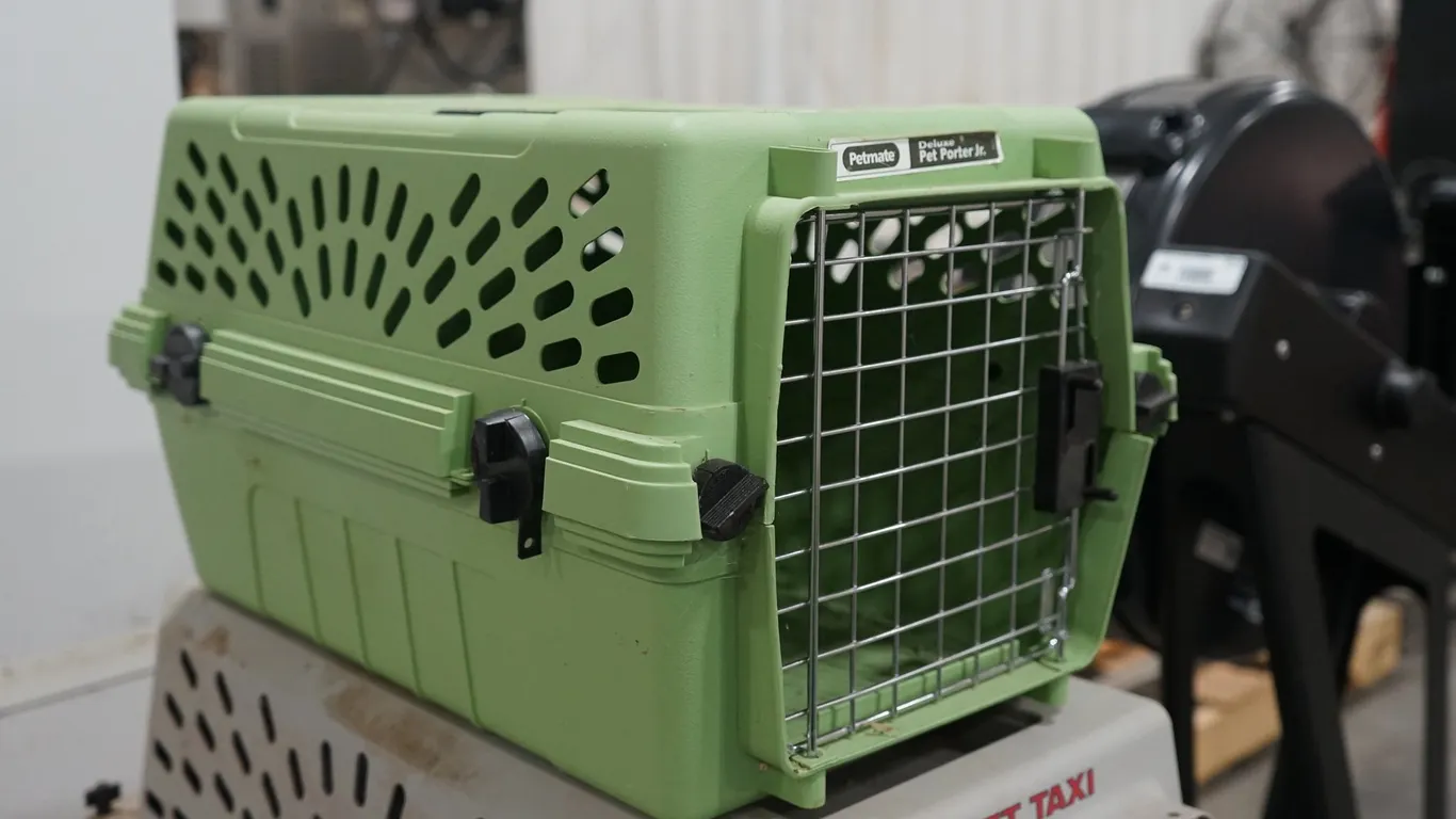 Small Petmate Deluxe Pet Porter Jr