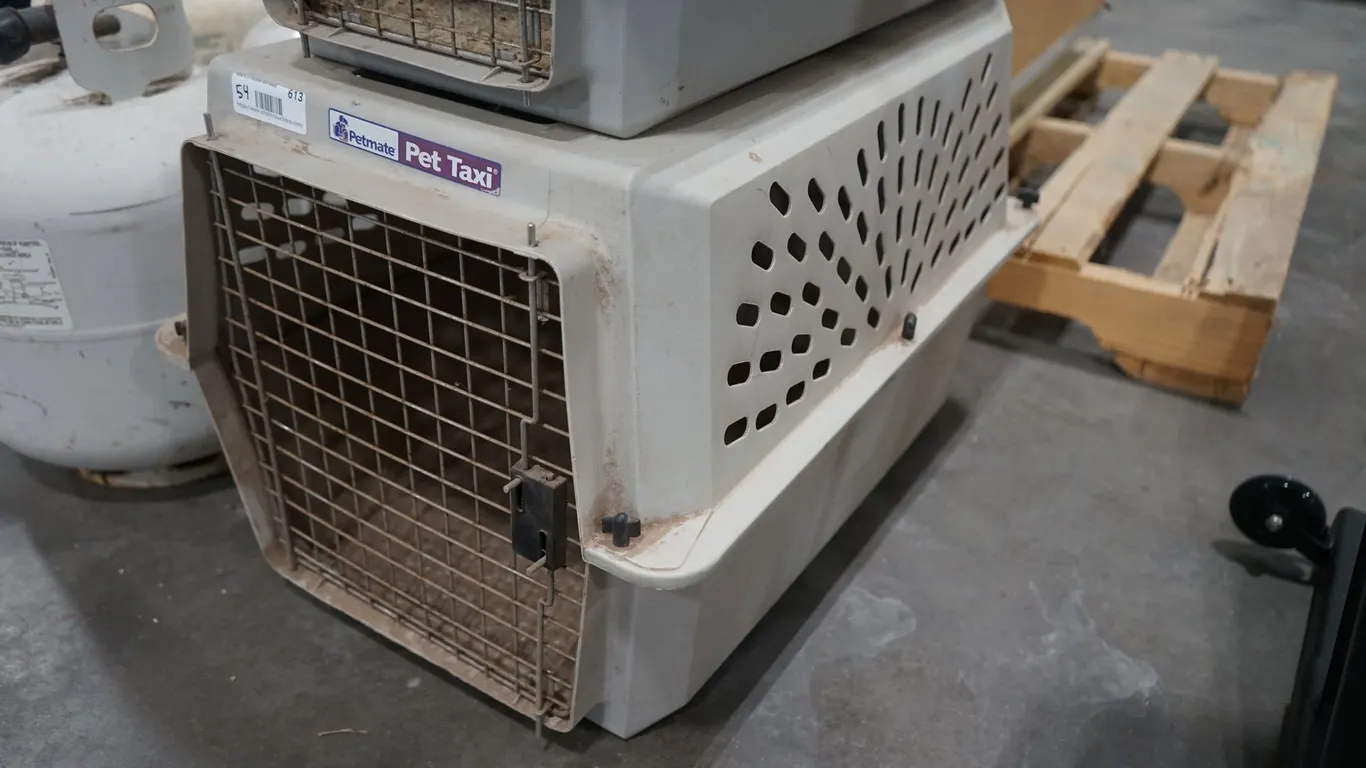 Large Petmate Pet Taxi