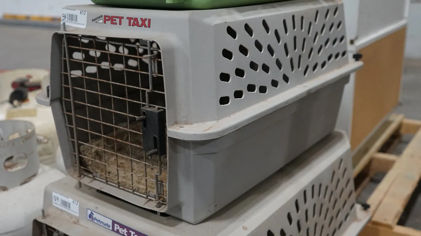 Petmate Medium Pet Taxi