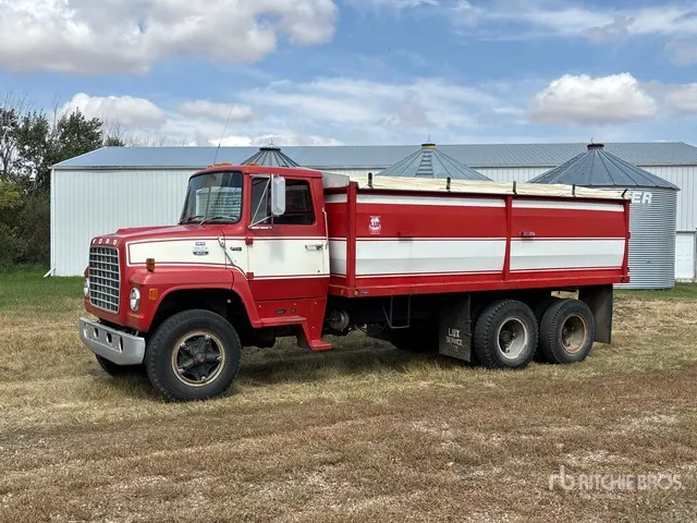 1981 Ford 800 6x2 Grain Truck