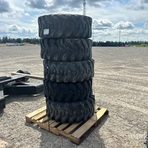 Quantity of (5) 385/65D19.5 Tires