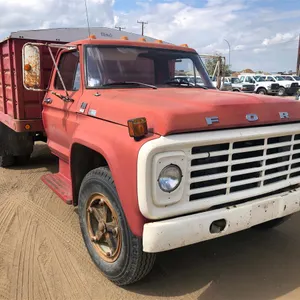 1979 Ford F600 S/A Grain Truck 
 UNRESERVED