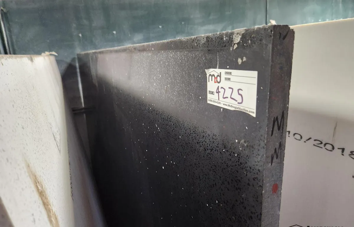 Terrastone Starlight Quartz Slab
UNRESERVED