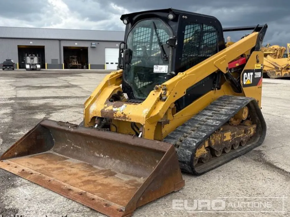 2019 CAT 289D