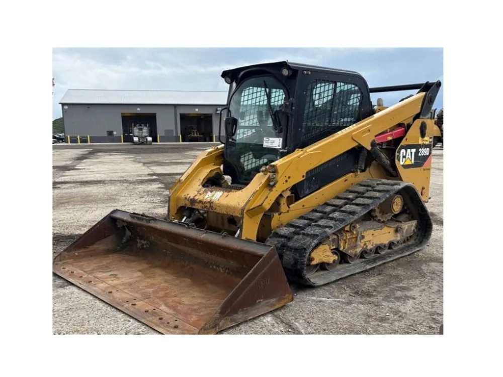 2019 CAT 289D