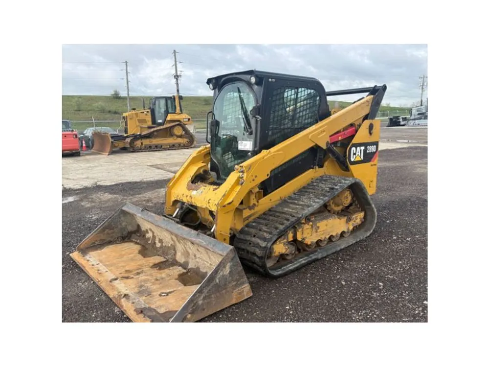 2019 CAT 289D