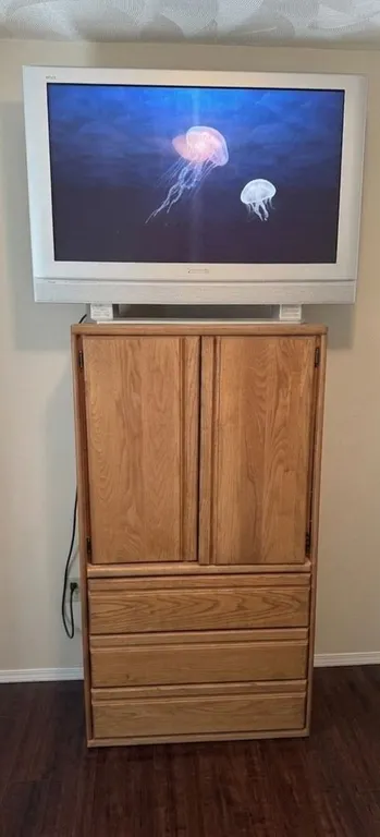 Panasonic Plasma TV with Pedestal and Oak Cabinet