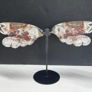 Mexican Crazy Lace Agate Dragonfly Wings on Stand