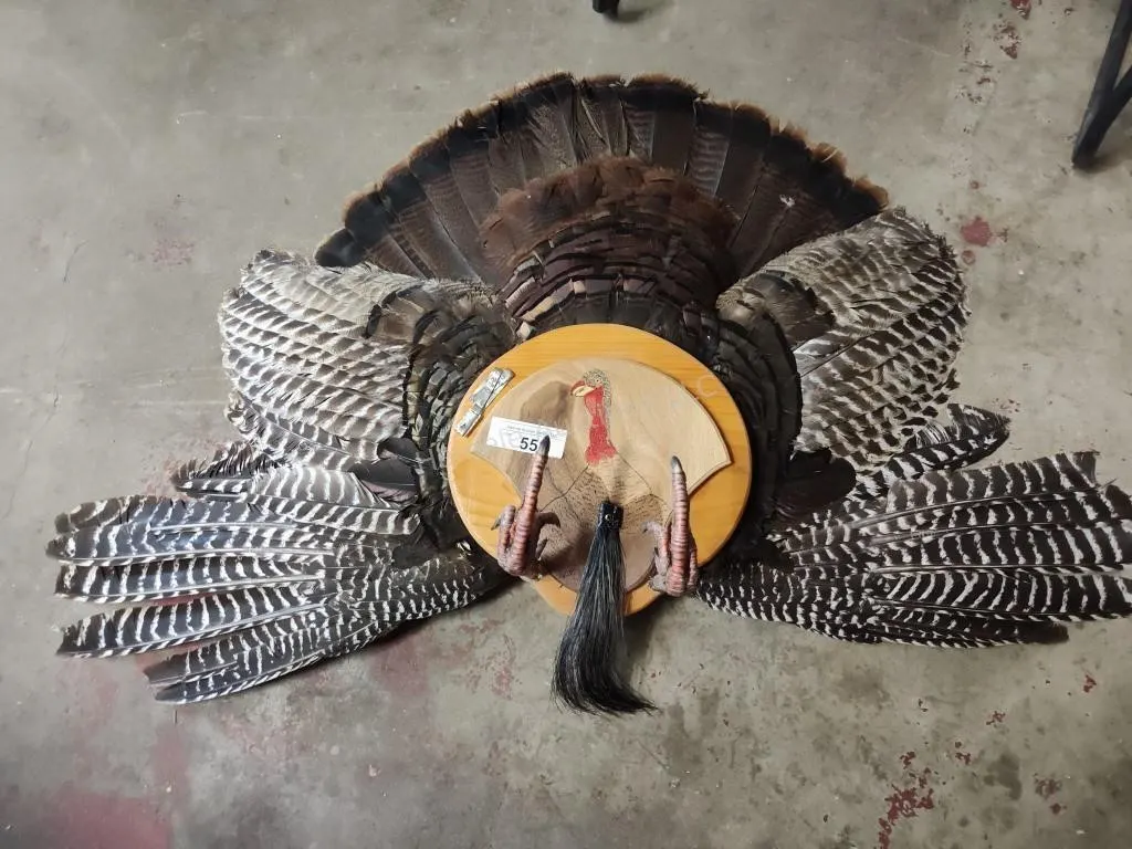 Turkey fan mount