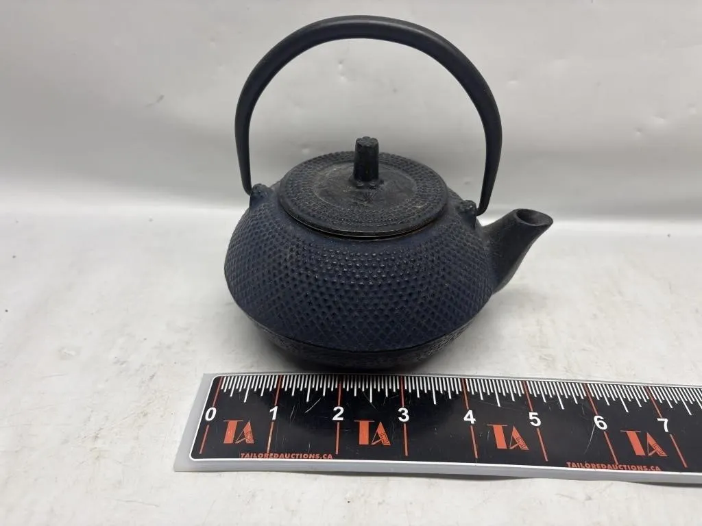Cast Iron Hobnail Teapot with Mesh Infuser