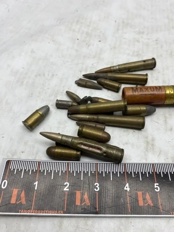 Assorted Vintage Cartridge Casings Lot