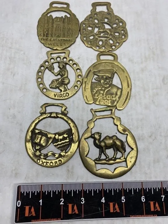 Brass Horse Harness Medallions (6)