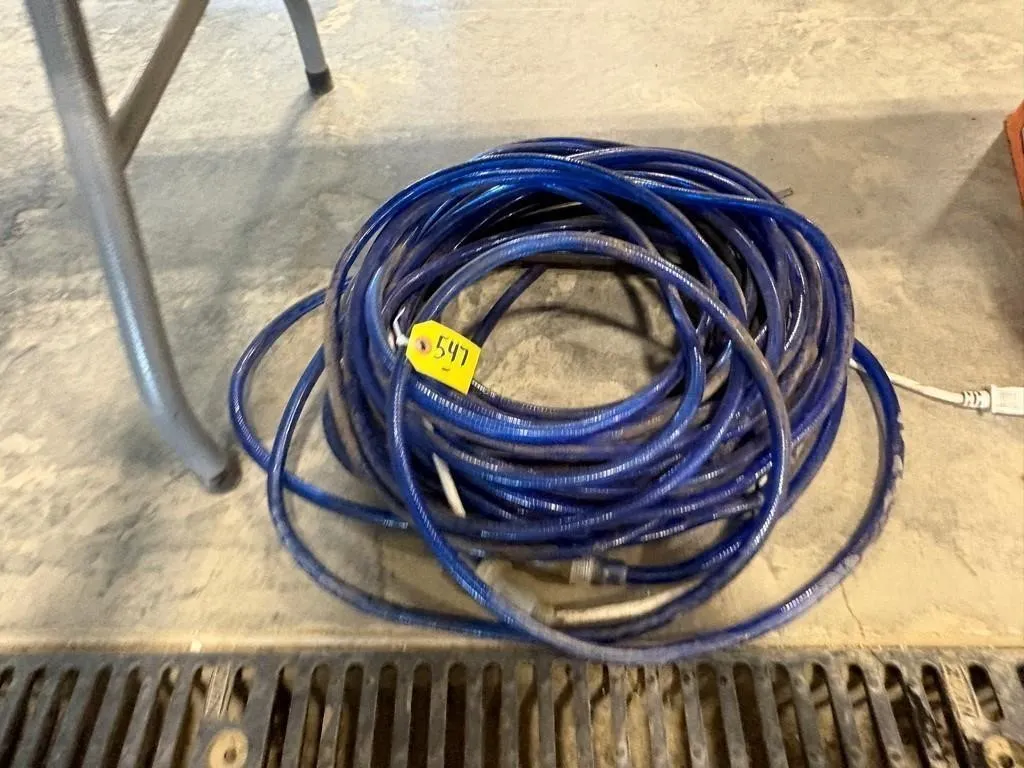 Blue Cord