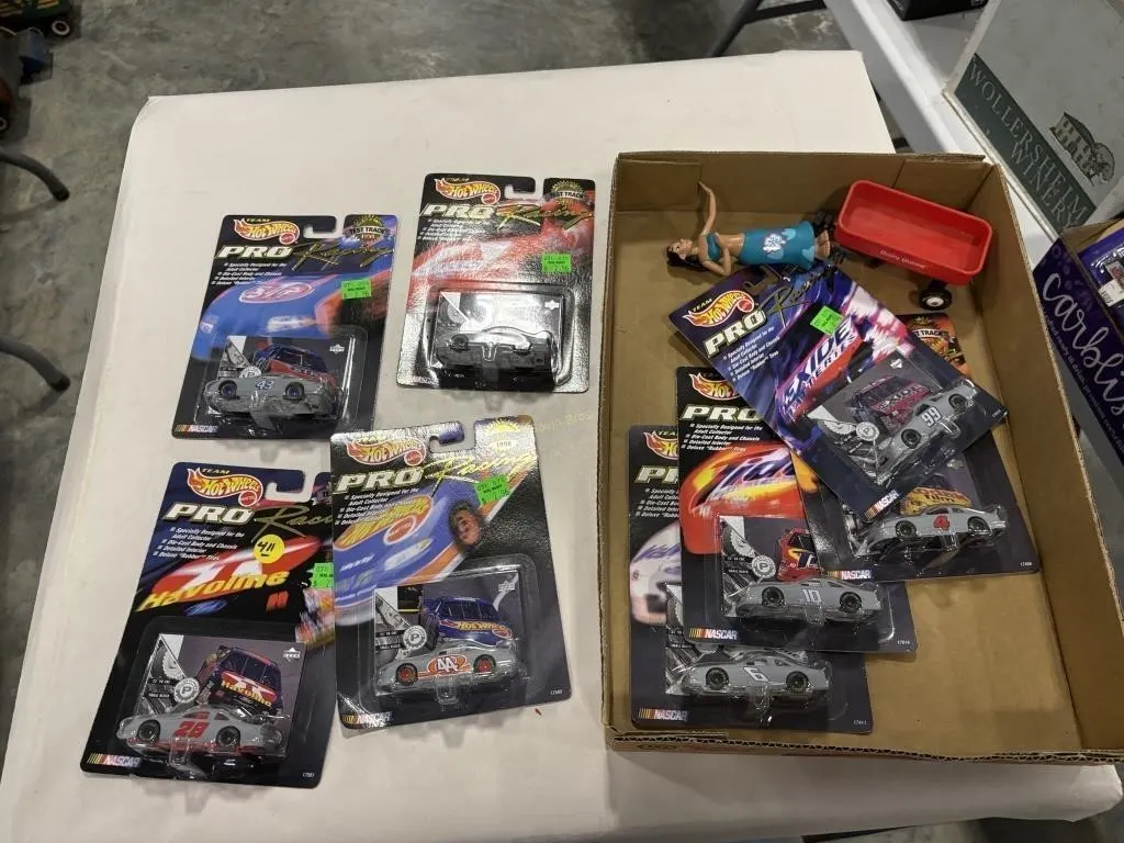 Hot Wheels Pro Racing Nascar 1:64 Cars