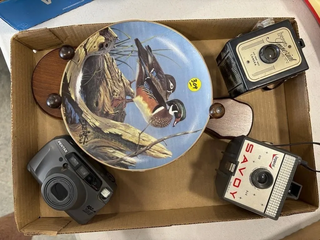 Vintage Cameras & Duck Plate