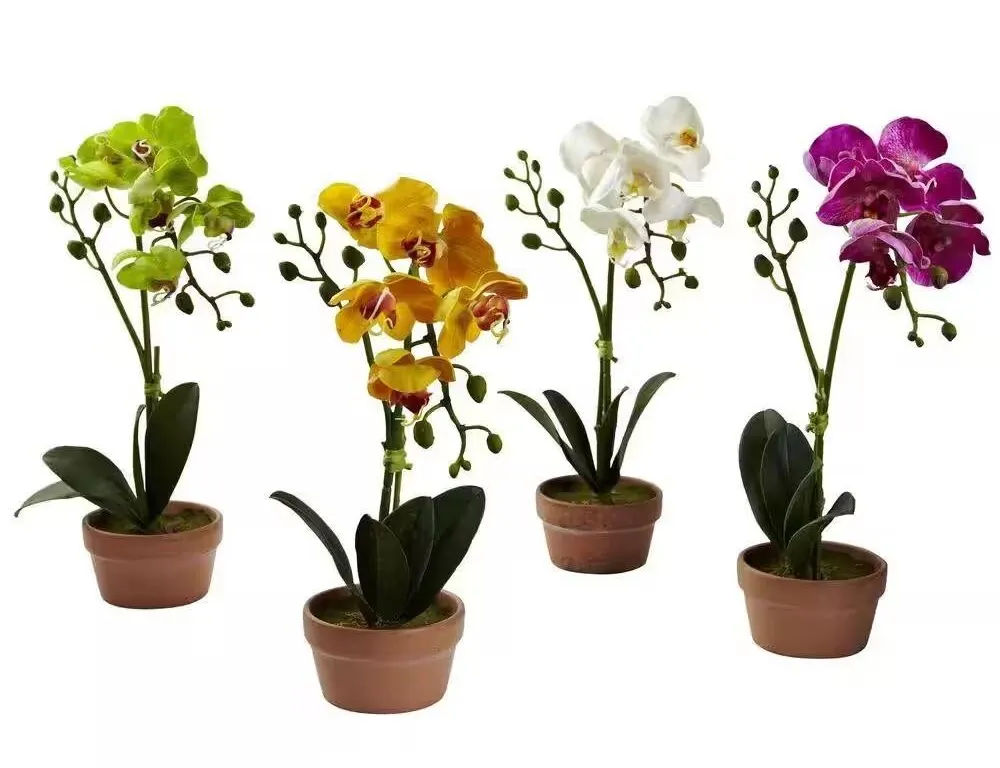 New $130 Artificial Phalaenopsis Orchid Plants