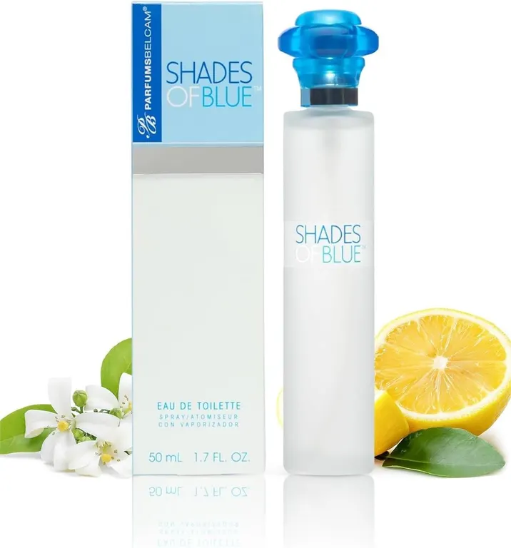 New (50mL) 1pk Belcam Shades of Blue EDT for Women