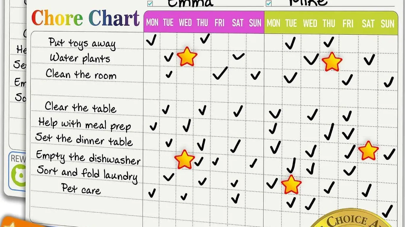 New $30 Magnetic Chore Chart - Morning/Bedtime