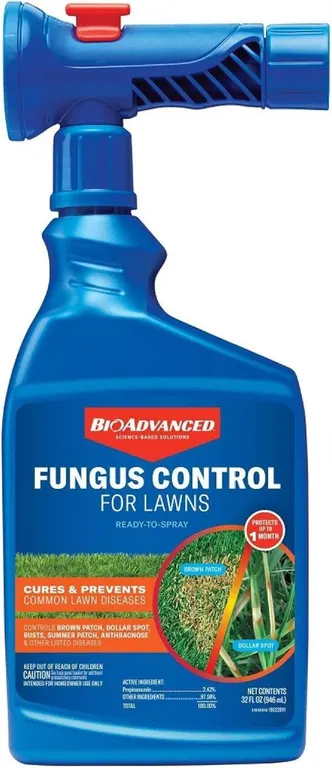 BioAdvanced Fungus Control For Lawns 32 Oz