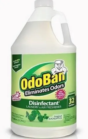 OdoBan 911001-G Eucalyptus Disinfectant 1 Gal
