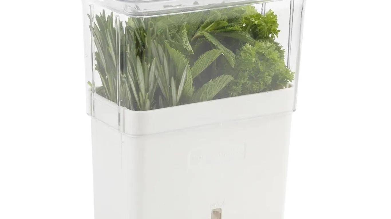 Cole Mason Fresh Herb Keeper Acrylic Container