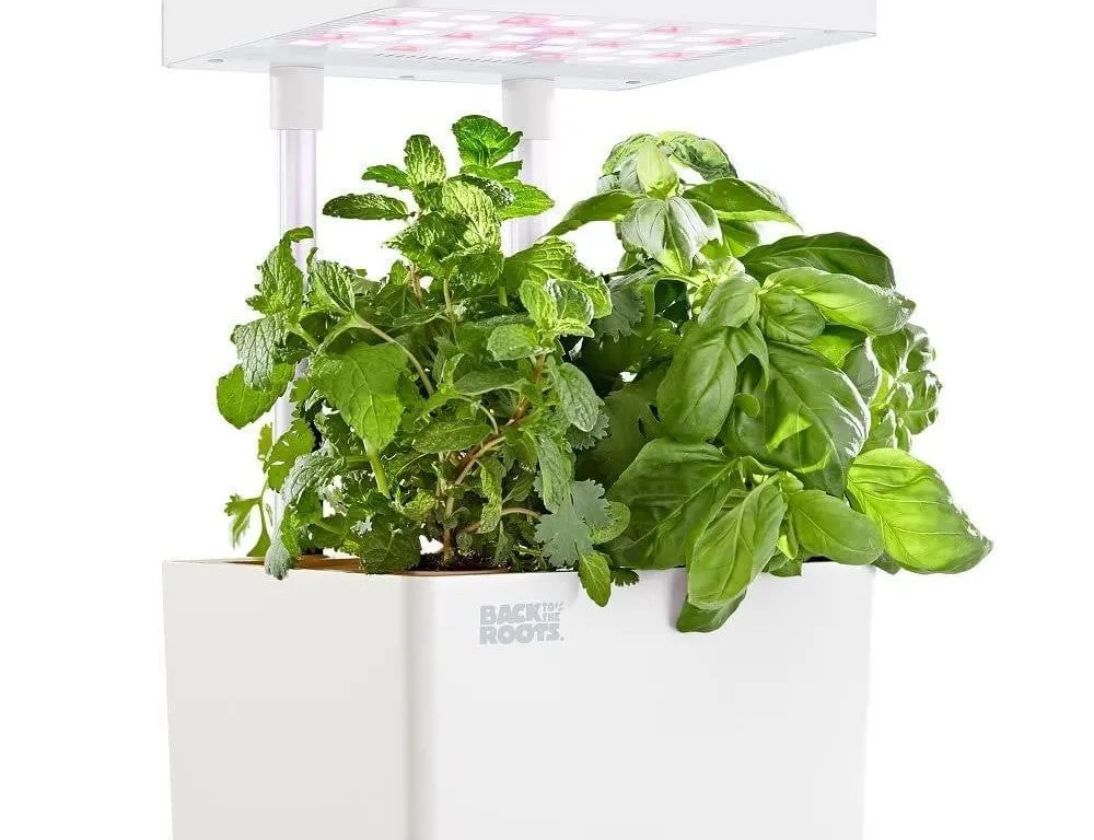 Back To The Roots 2022 Hydroponic Grow Kit White