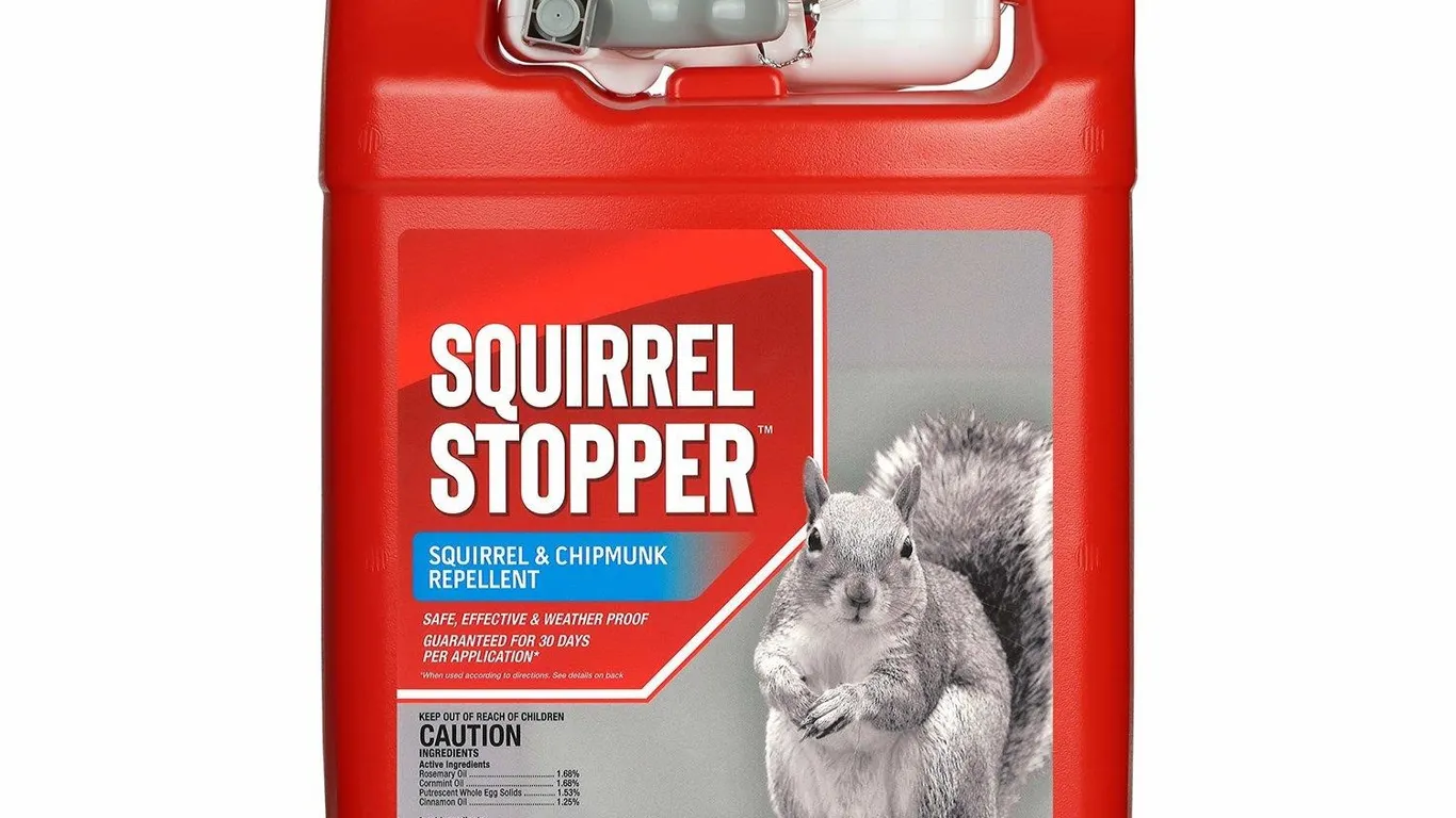 Messinas Squirrel Stopper Repellent 1 Gallon