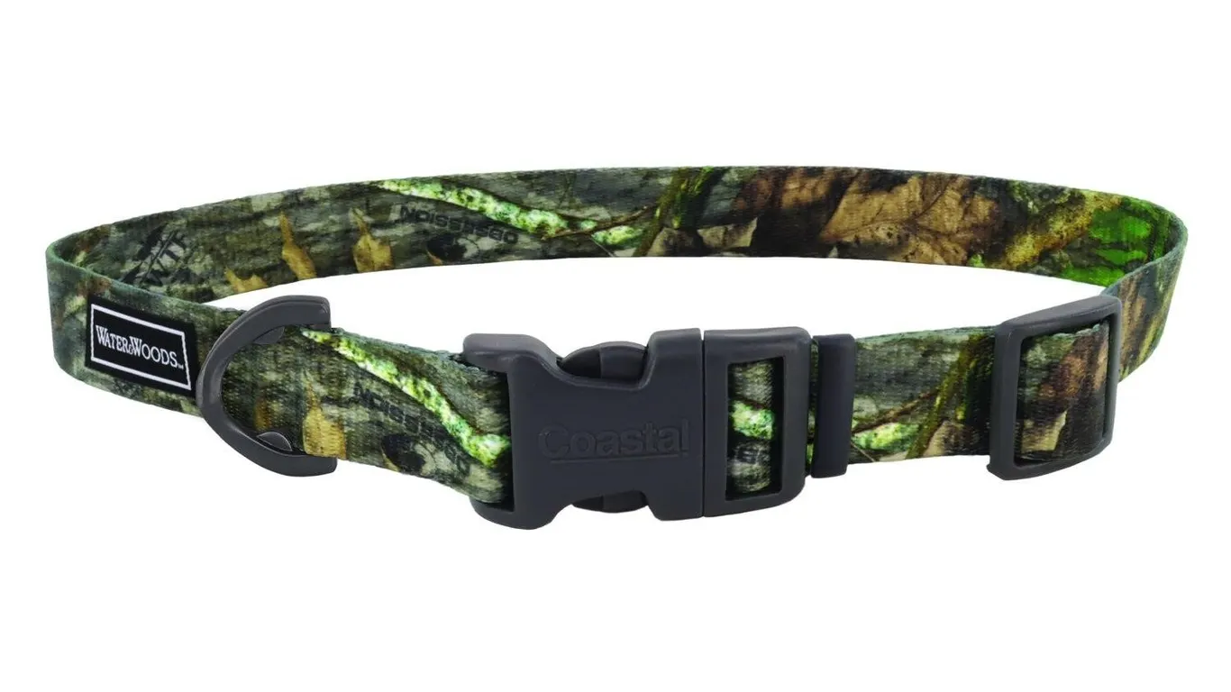 Coastal Pet Water Woods Dog Collar NWTF Medium