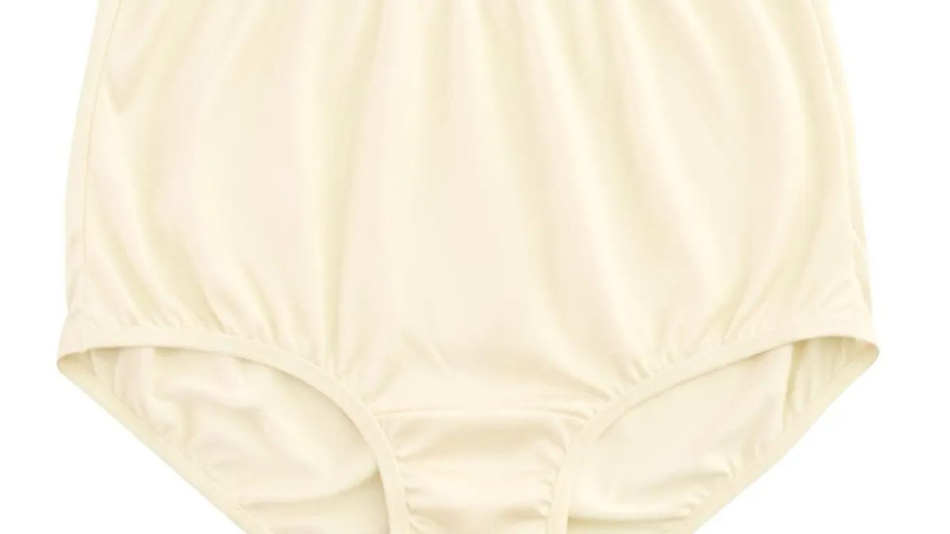 Vanity Fair Ravissant Tailored Brief Size 9...