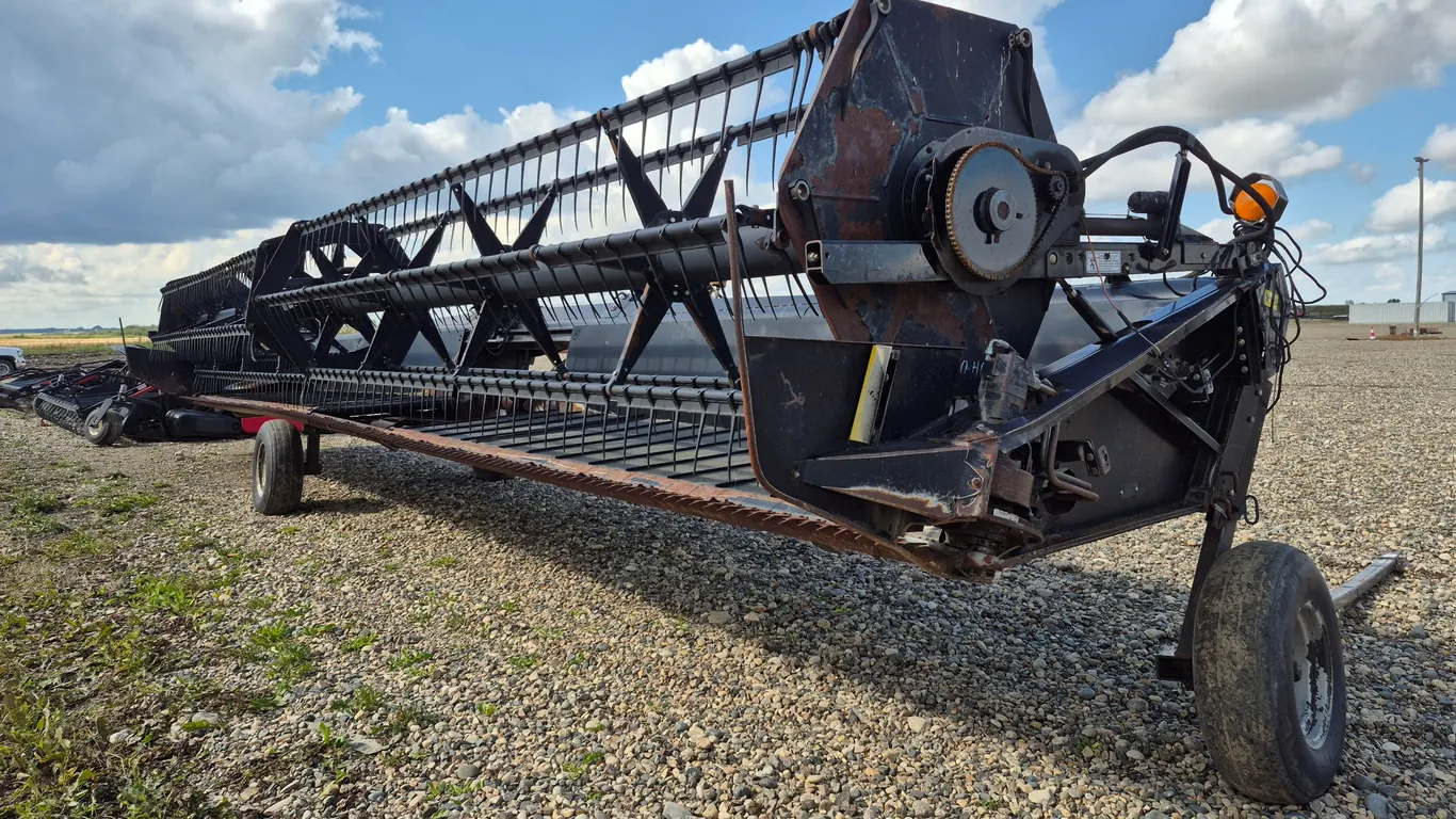 AGCO STRAIGHT CUT HEADER W/ PICK UP REEL