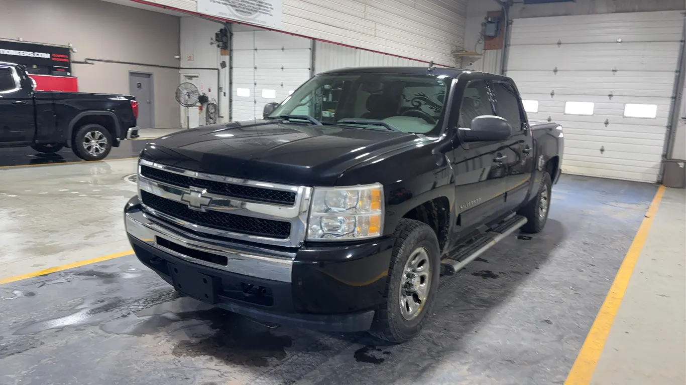 2010 Chevrolet Silverado 1500 LS Crew Cab 4WD