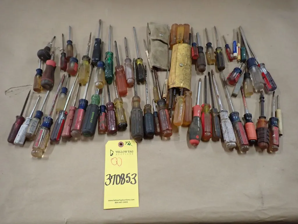 Lot of Assorted Screwdrivers