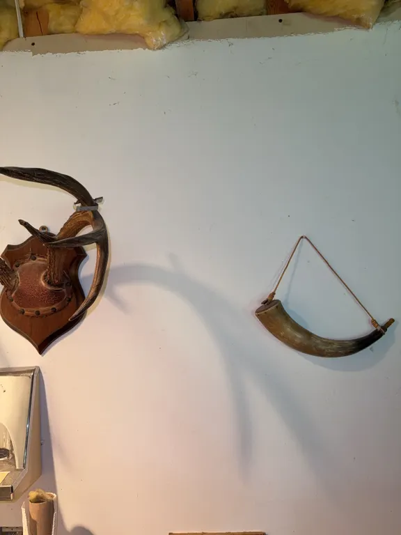 Powder horn and antler mount