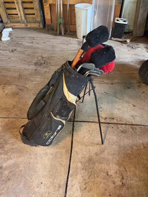 Golf Bag with Clubs