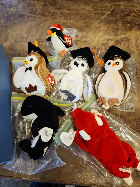 Assorted Ty Beanies