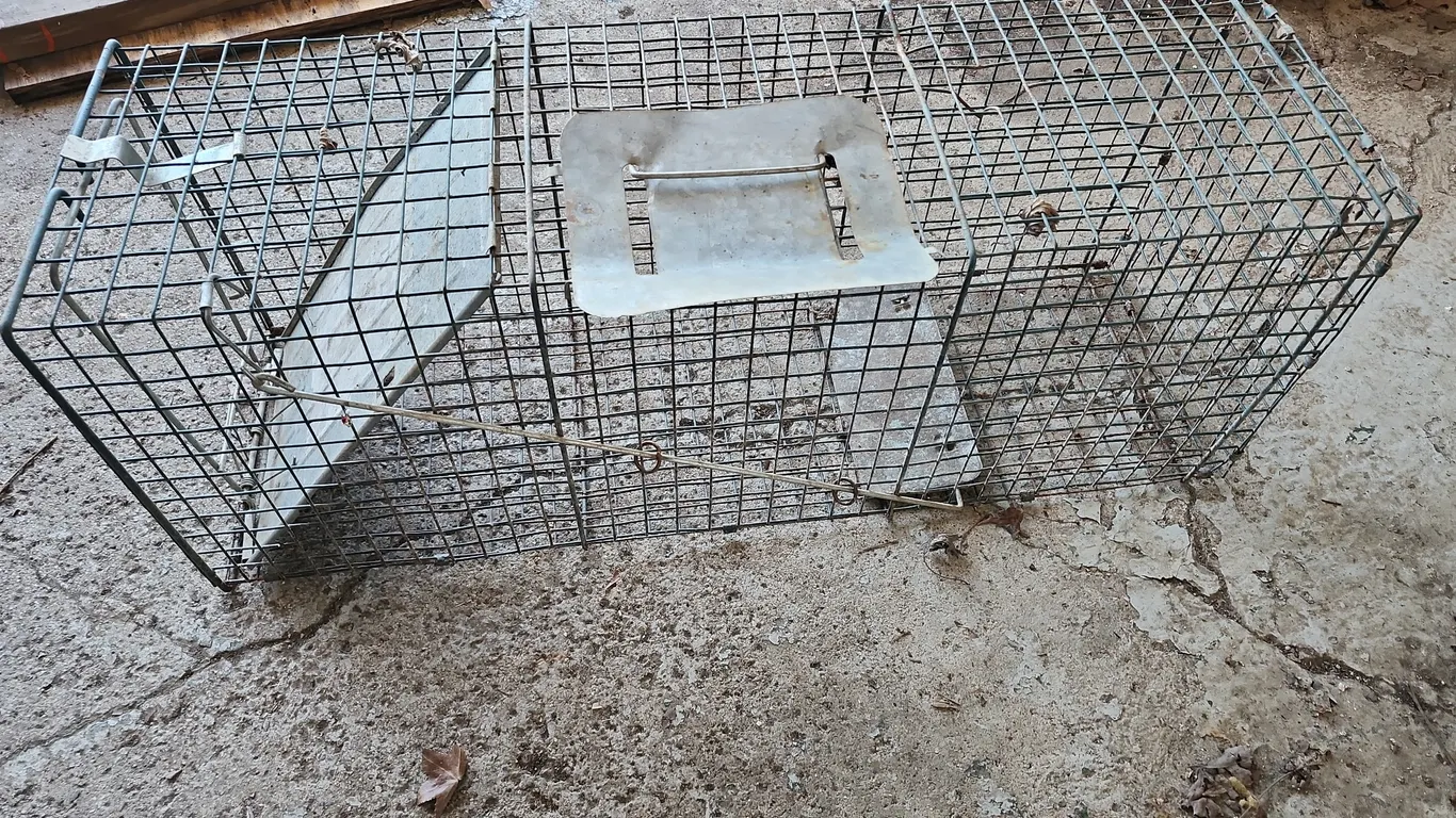 Large Live Trap 32.5"X11.5"X10.5"