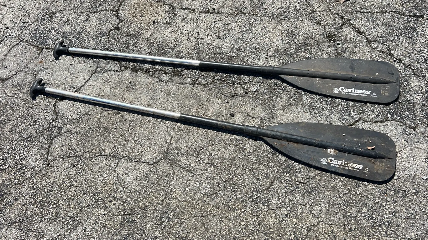 Pair Caviness Oars 61"